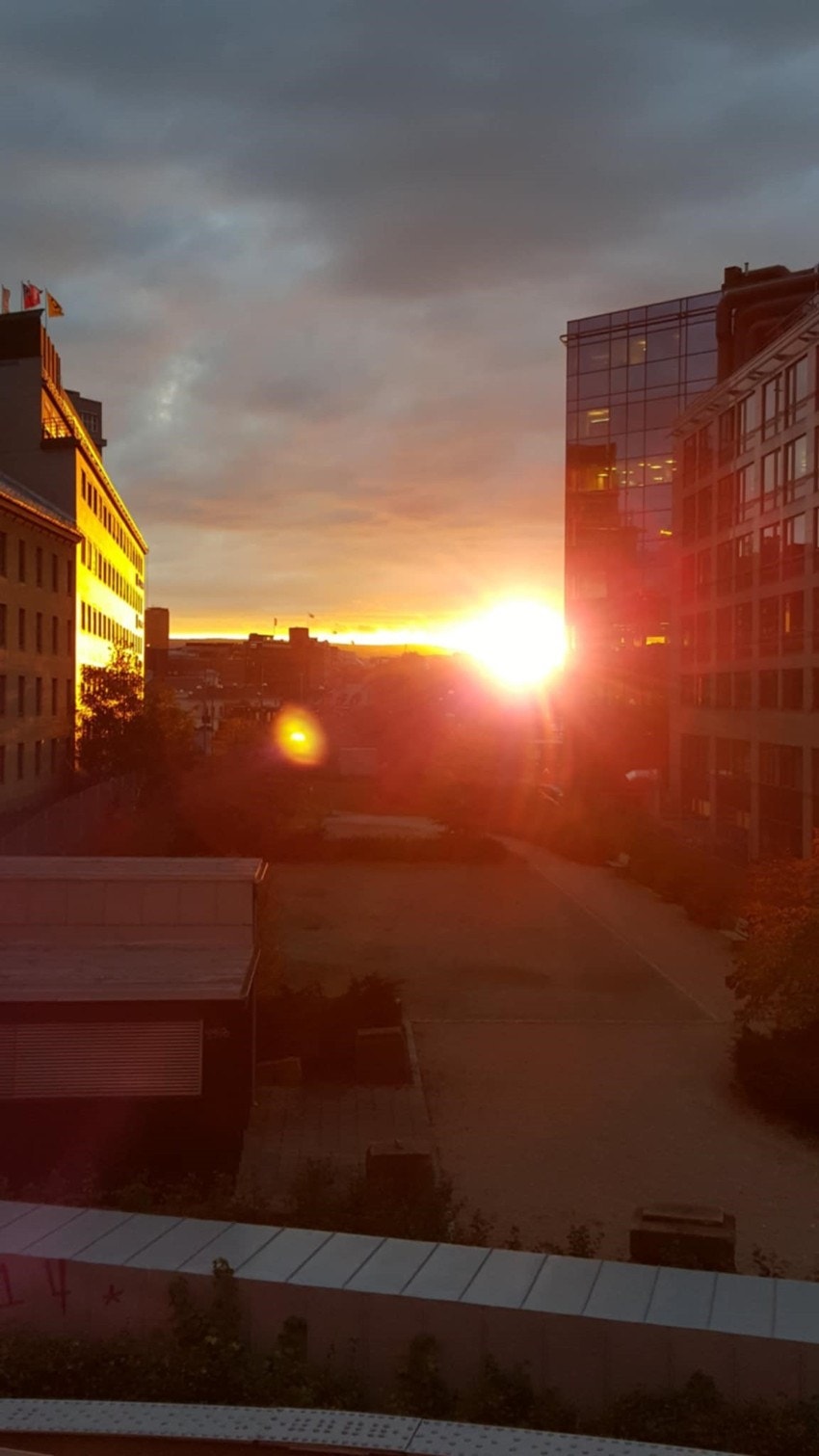 Selgers bilde. Galleribilde