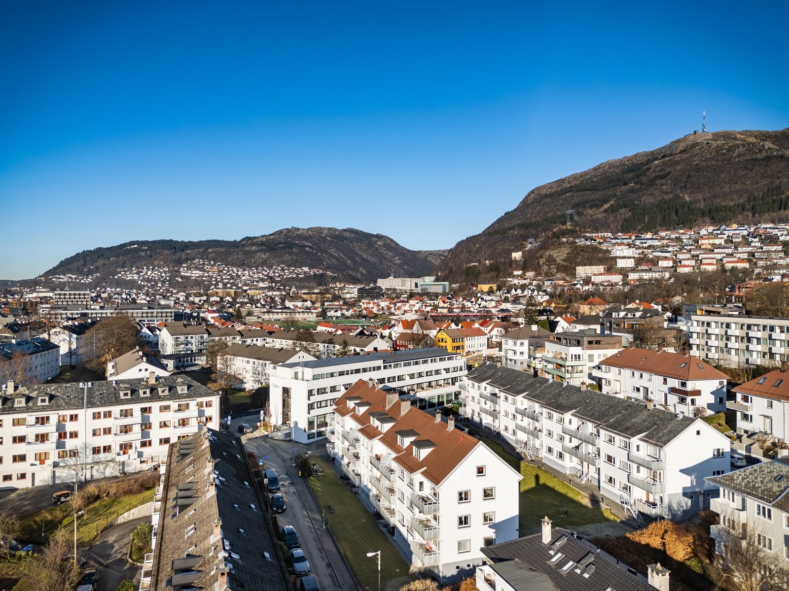 - Velkommen til visning! - Galleribilde