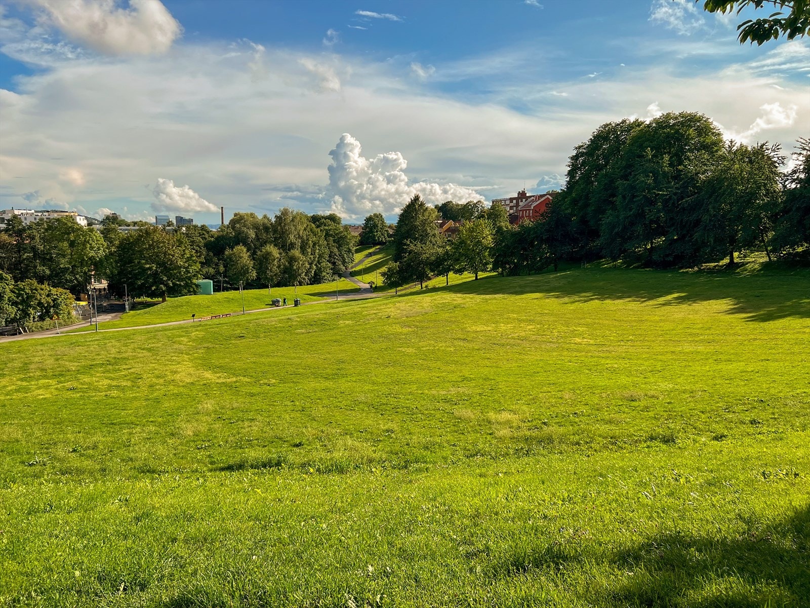 Myraløkka parken ligger rett over veien og er et perfekt sted å tilbringe solfylte dager! Galleribilde