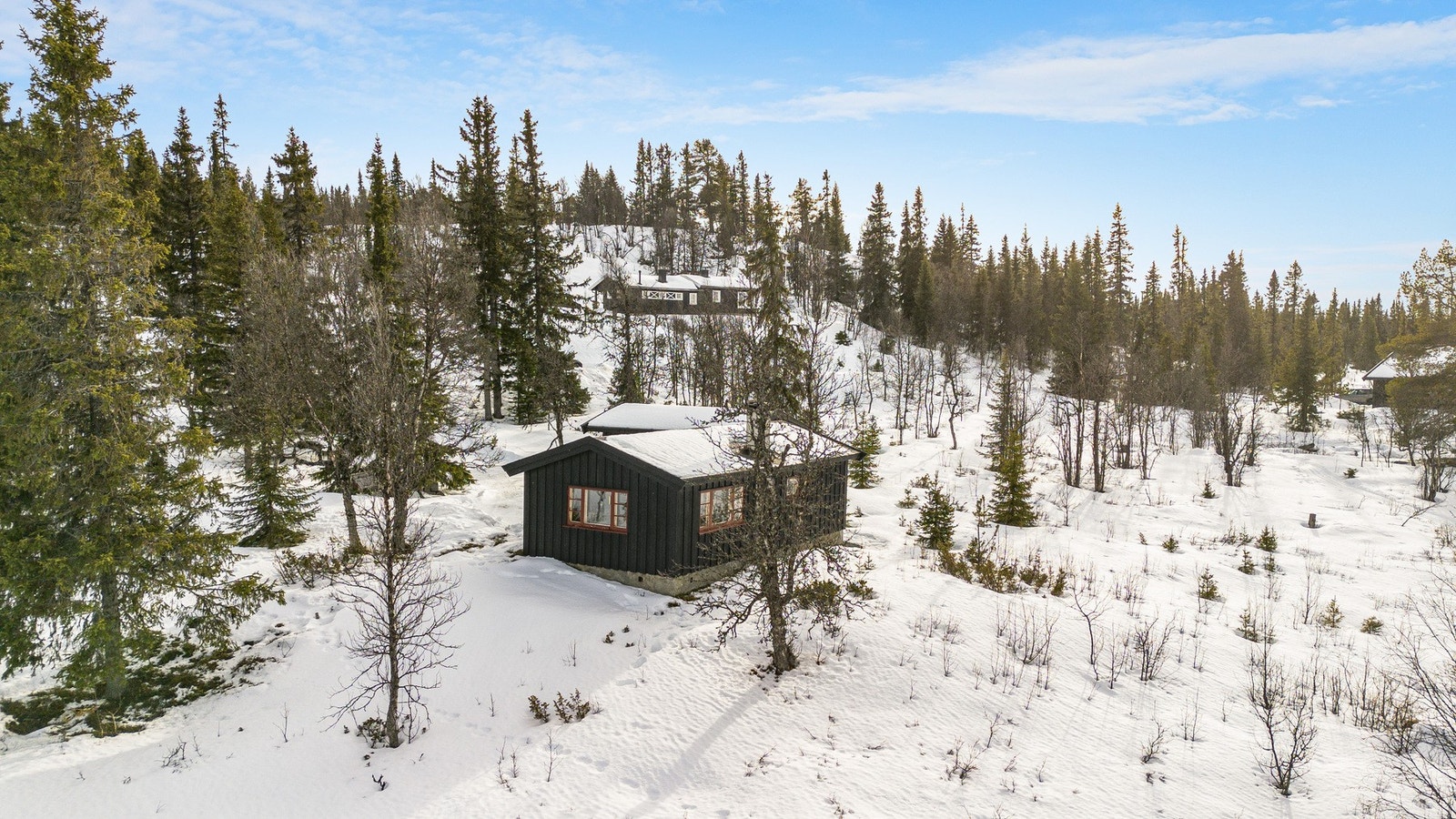 Velkommen til en hyggelig visning! Galleribilde
