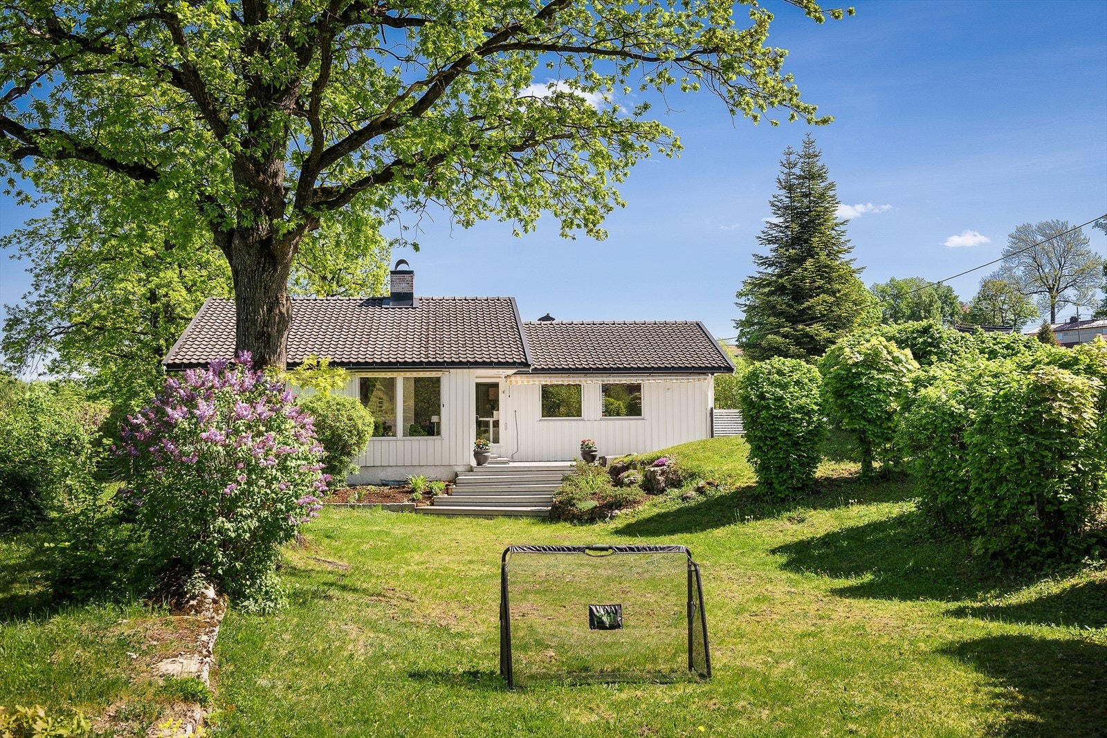 Frodig og pent opparbeidet tomt med gressplen, busker, hekk og diverse beplantning. Galleribilde
