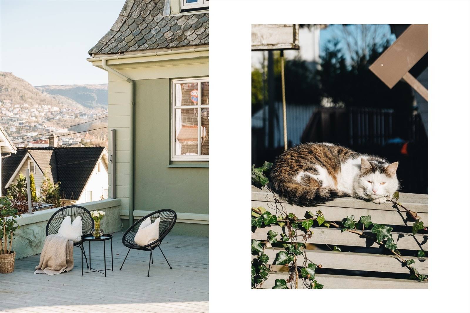 - Sitt i skjermede omgivelser og nyt de vakre dagene Bergen har å by på - Galleribilde