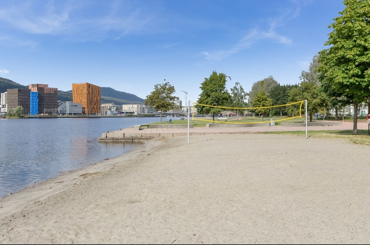 Elvebredden Galleribilde