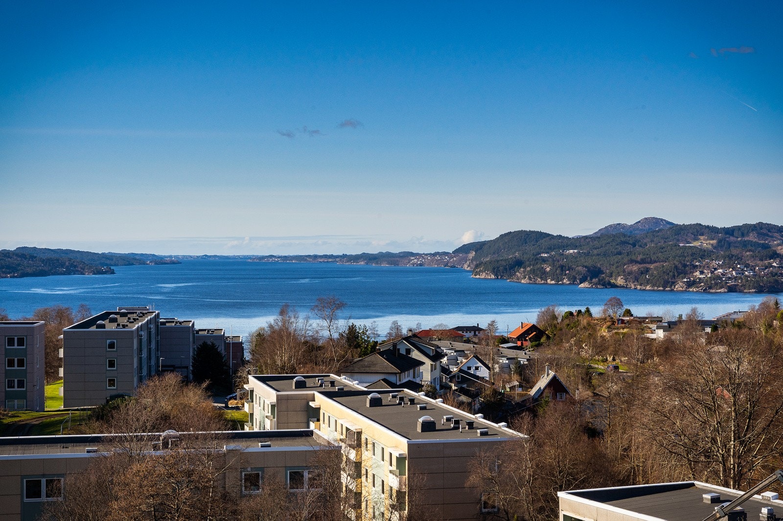 Utsikt Galleribilde