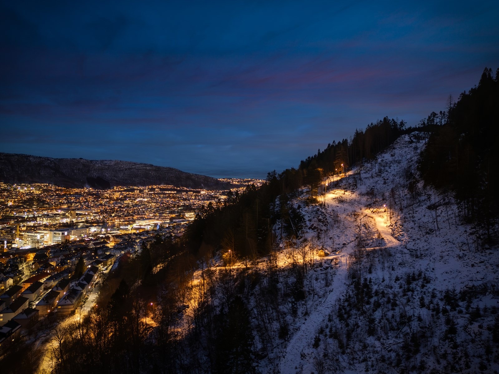 - Rett bak leiligheten finner du tursti til populære Løvstakken - Galleribilde