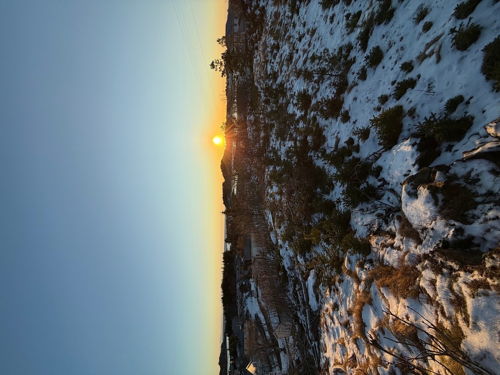 Selgers private bilder. Galleribilde