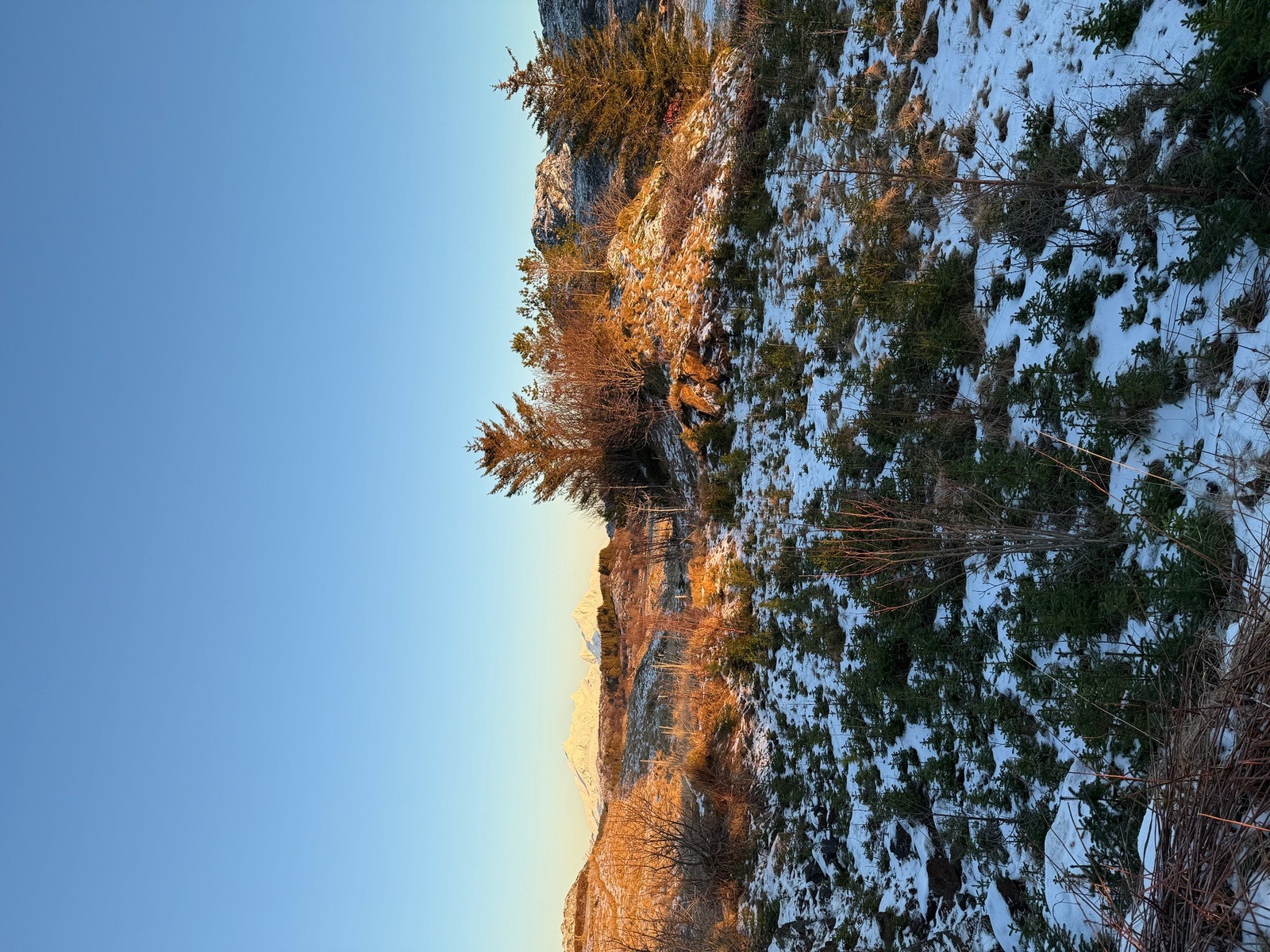 Selgers private bilder. Galleribilde