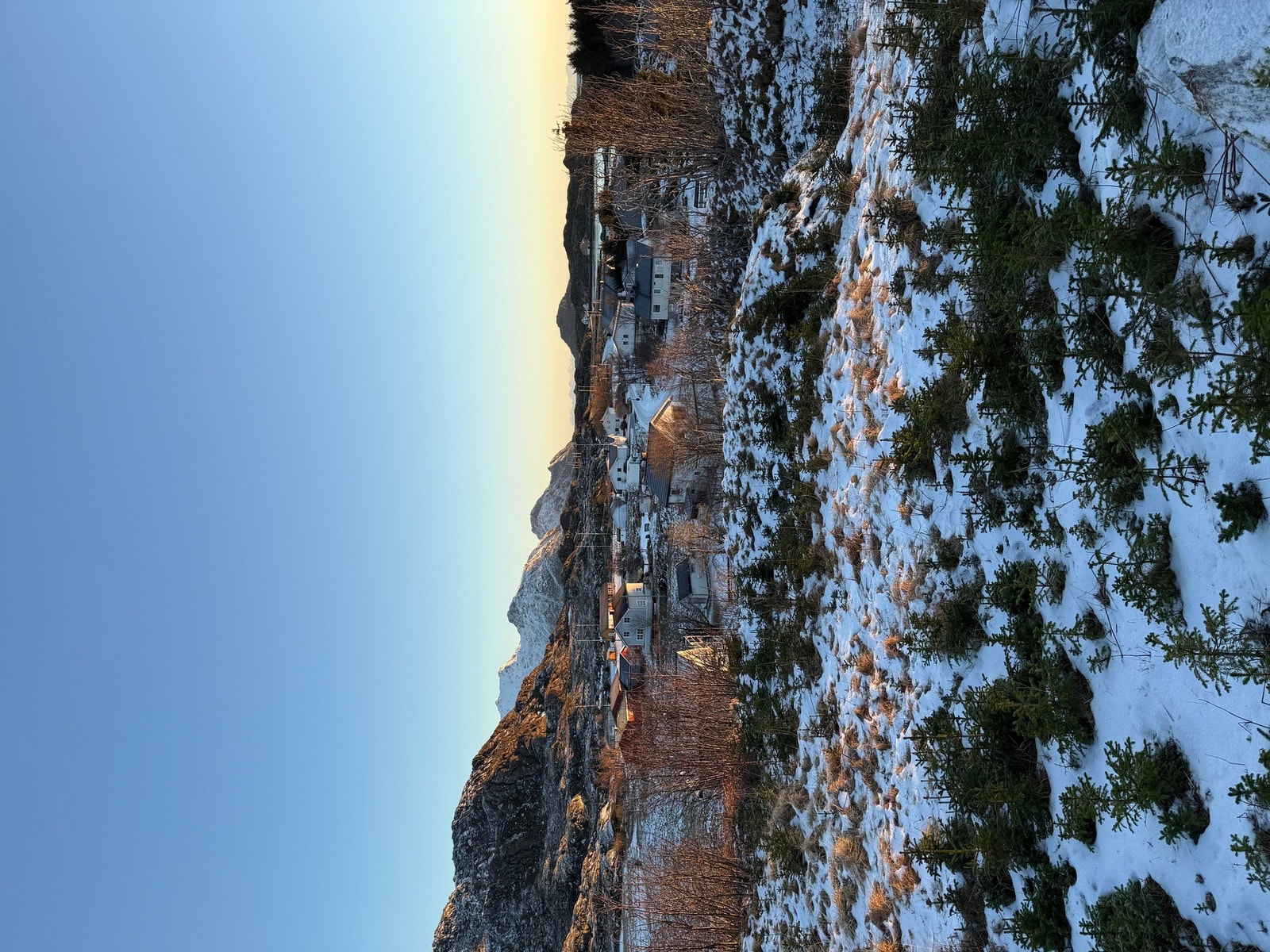 Selgers private bilder. Galleribilde