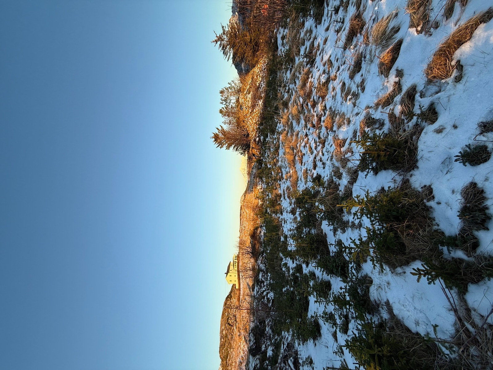 Selgers private bilder. Galleribilde