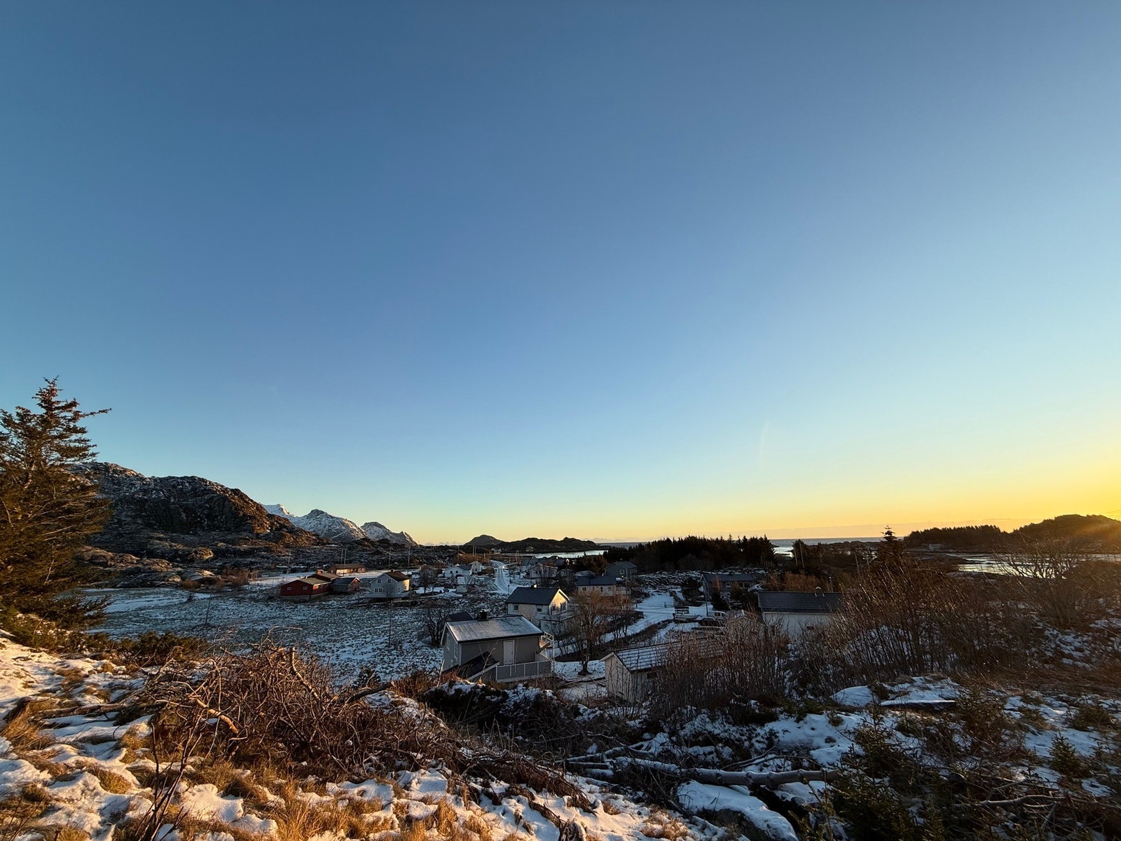 Selgers private bilder. Galleribilde