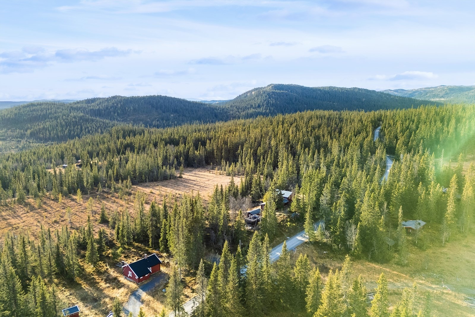 Nærområdet. Galleribilde