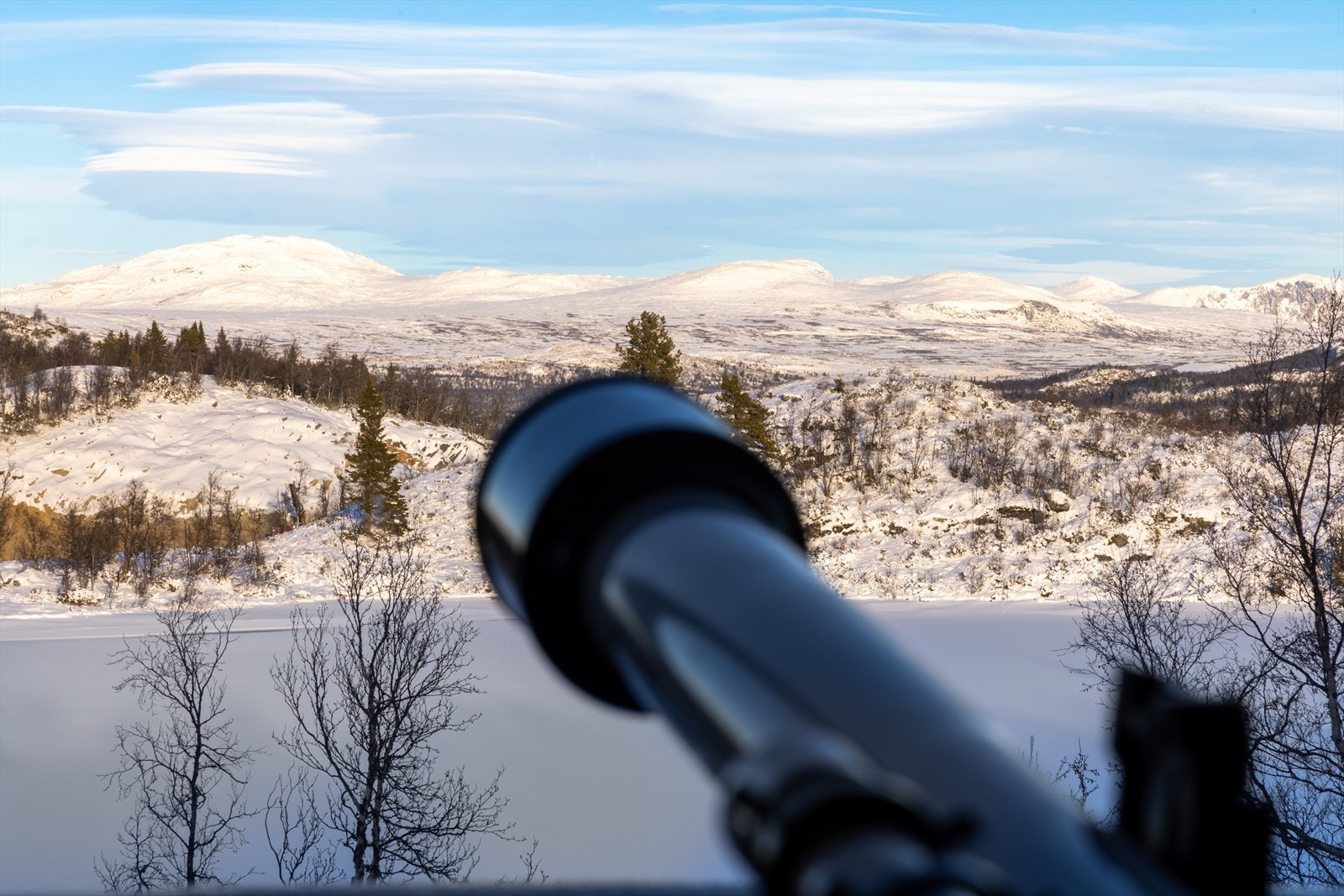 Vill og vakker natur rett ut stuevindu Galleribilde