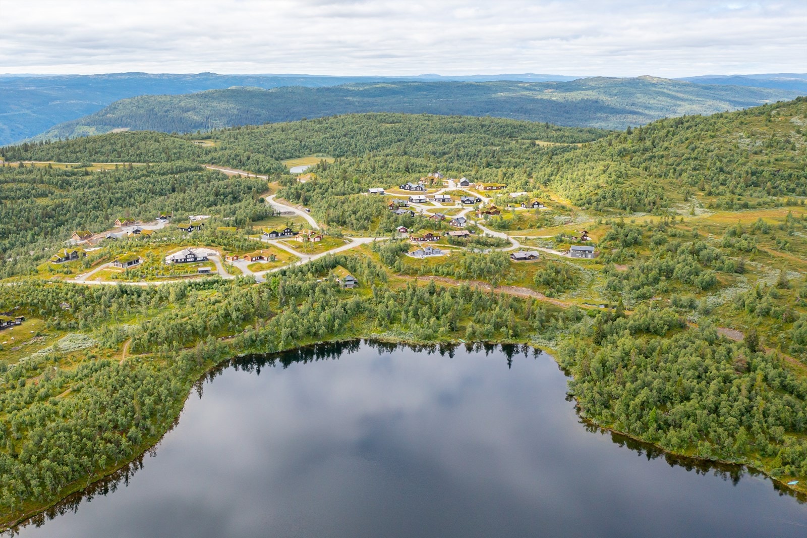 Sommerbilder Galleribilde