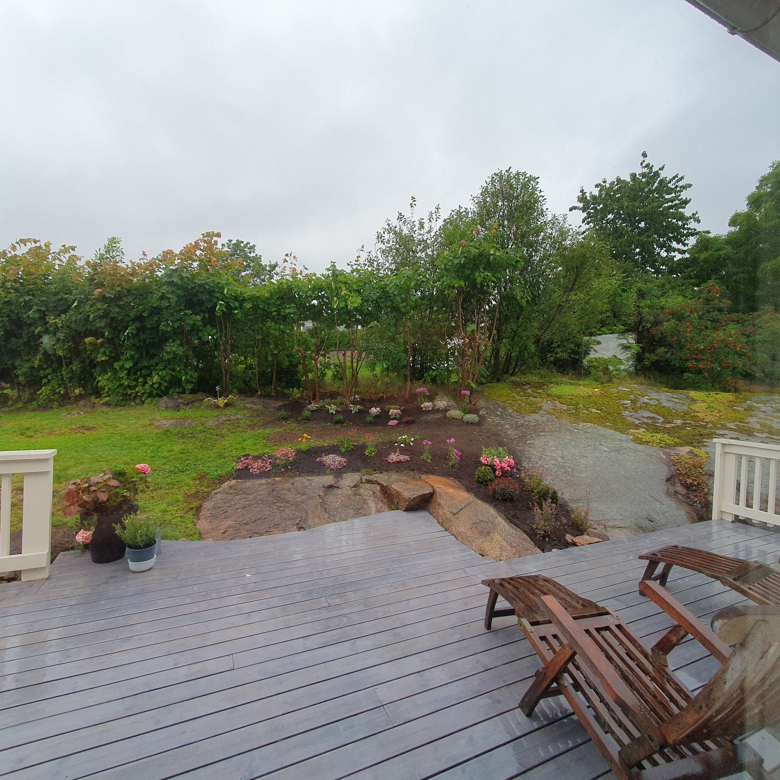 Opparbeidet hage sommer 2024. Galleribilde