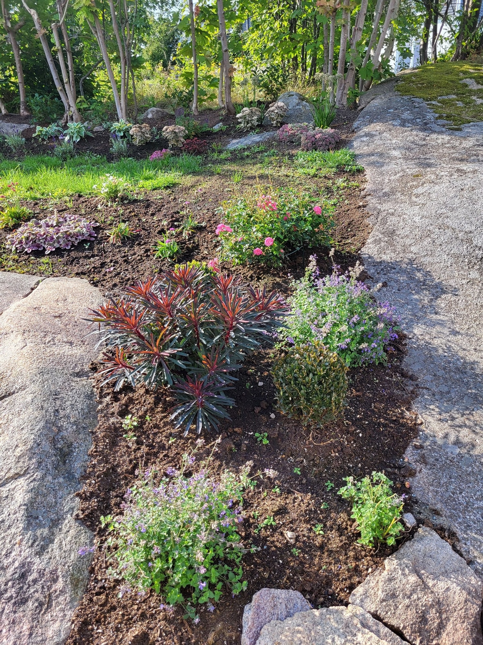 Sommer 2024. Galleribilde