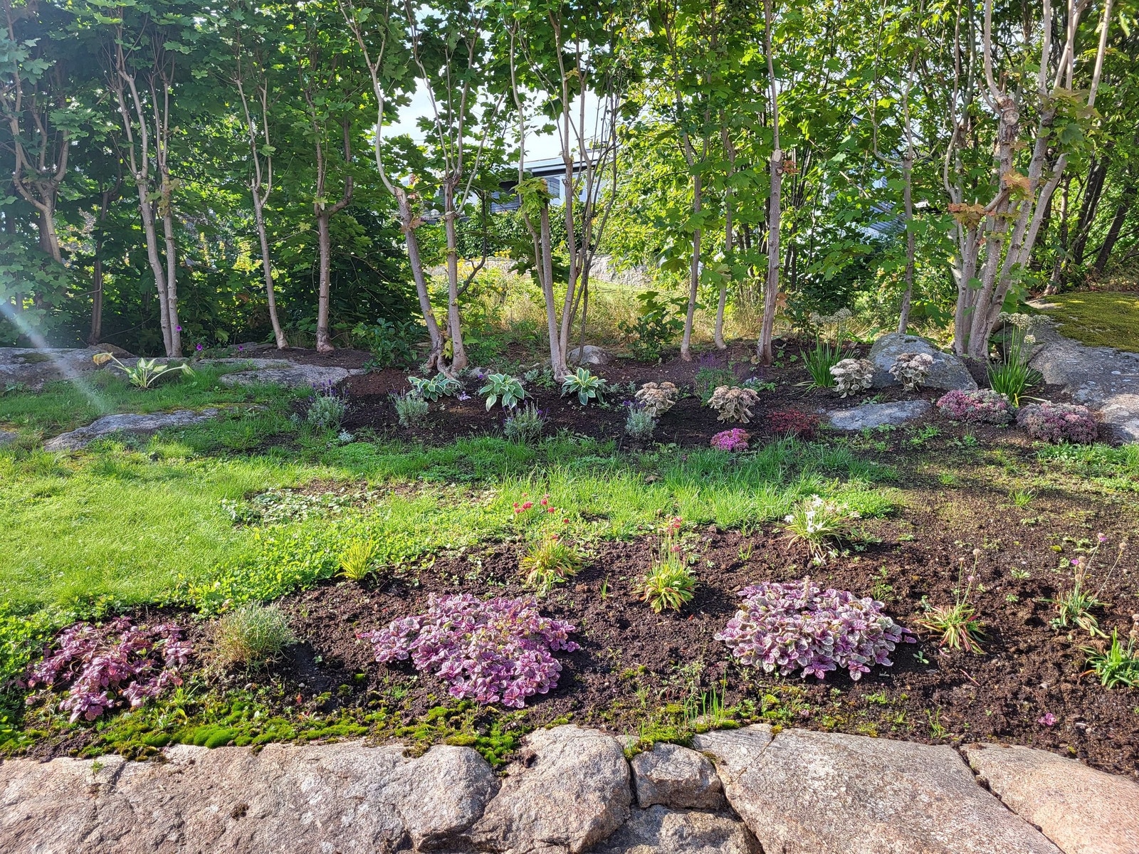 Sommer 2024. Galleribilde