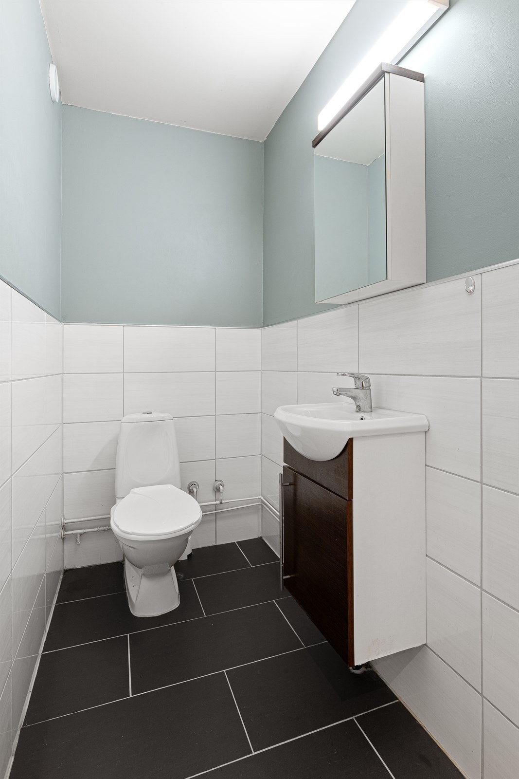 Praktisk separat WC. Galleribilde