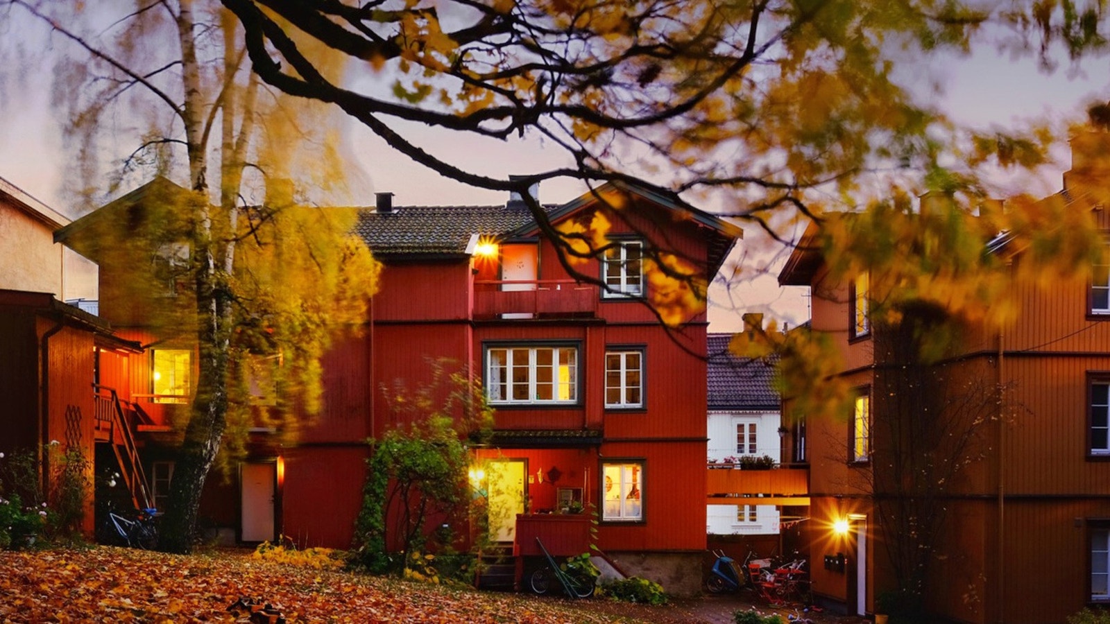 Kveldsbilde fra sommeren. Galleribilde