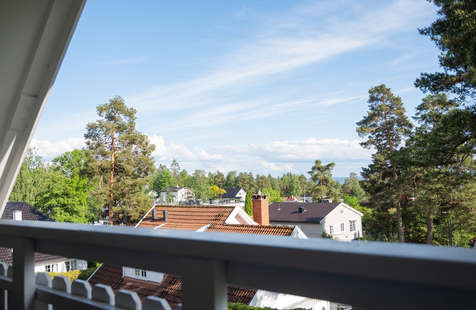 Utsikt. Galleribilde