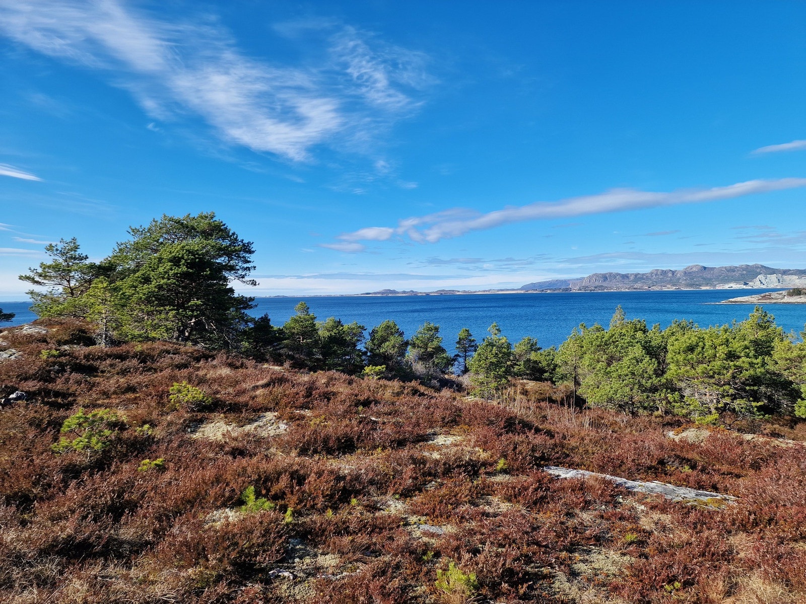 Fin sjøutsikt og gode solforhold Galleribilde