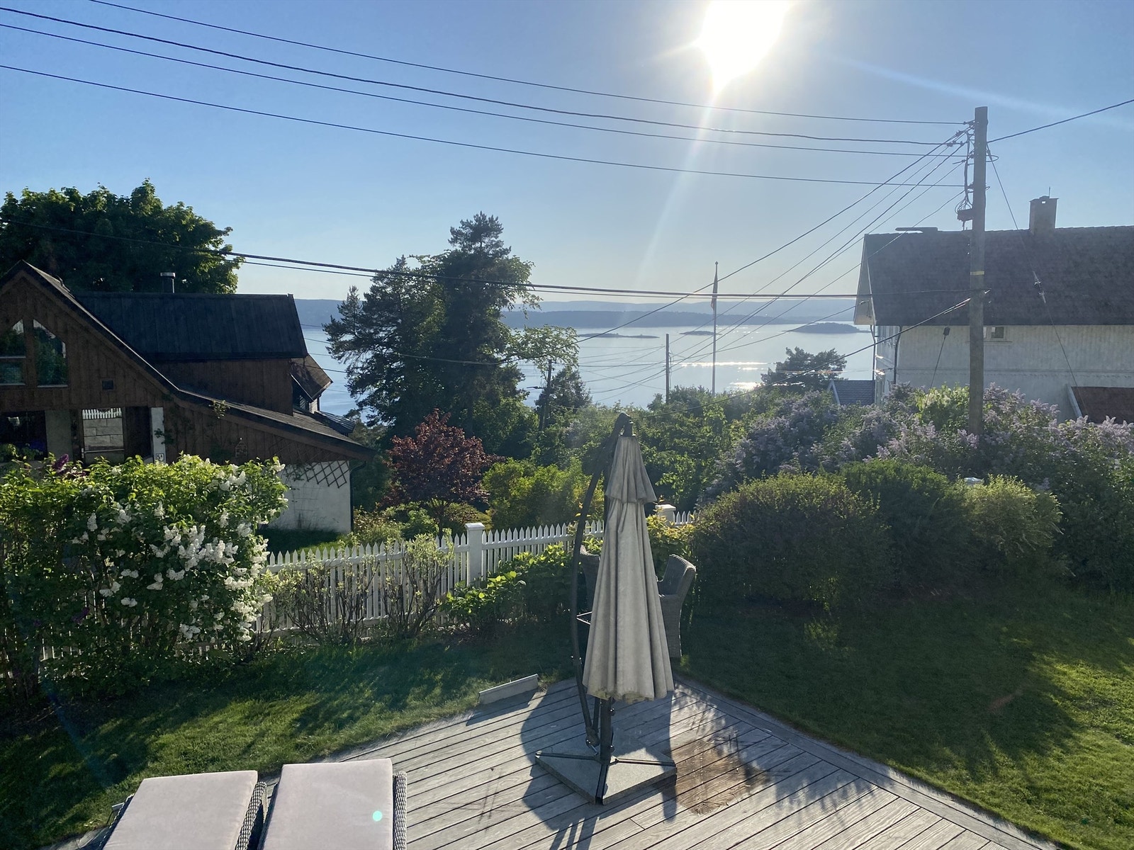 Selgers egne sommerbilder Galleribilde
