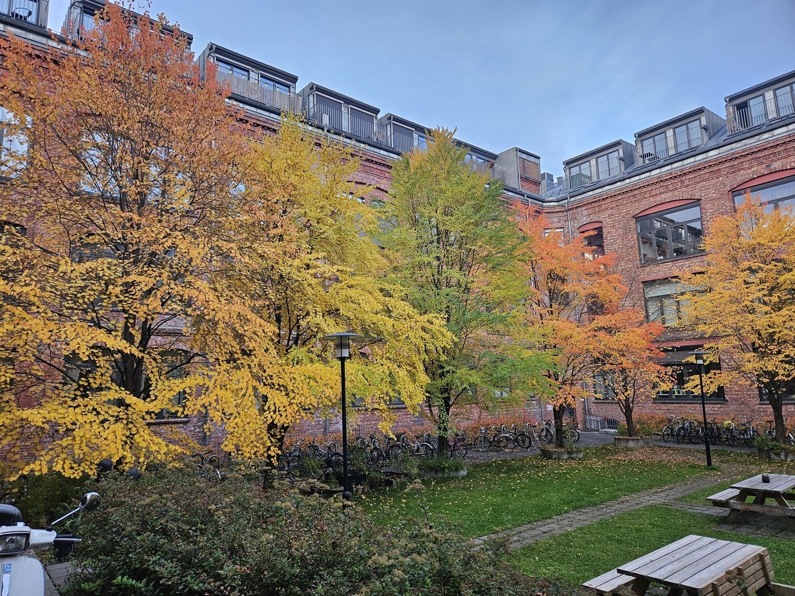 Selgers bilde av felles bakgård. Galleribilde