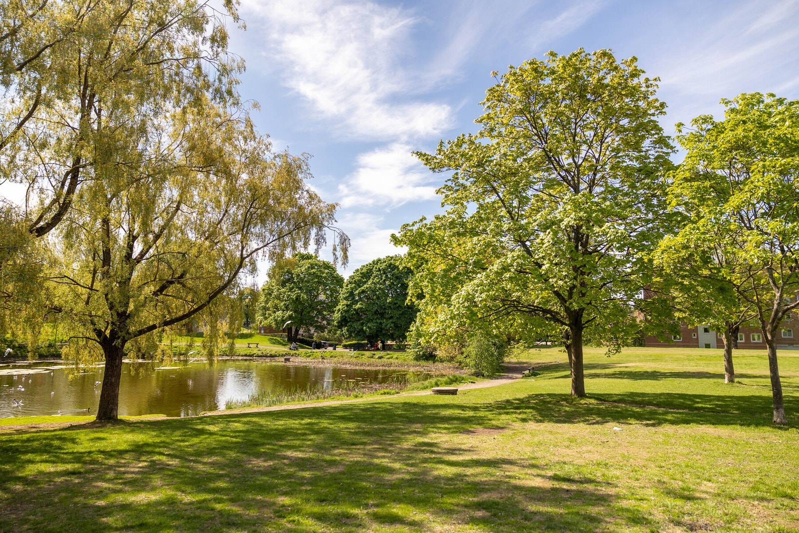 Hovindammen. Galleribilde