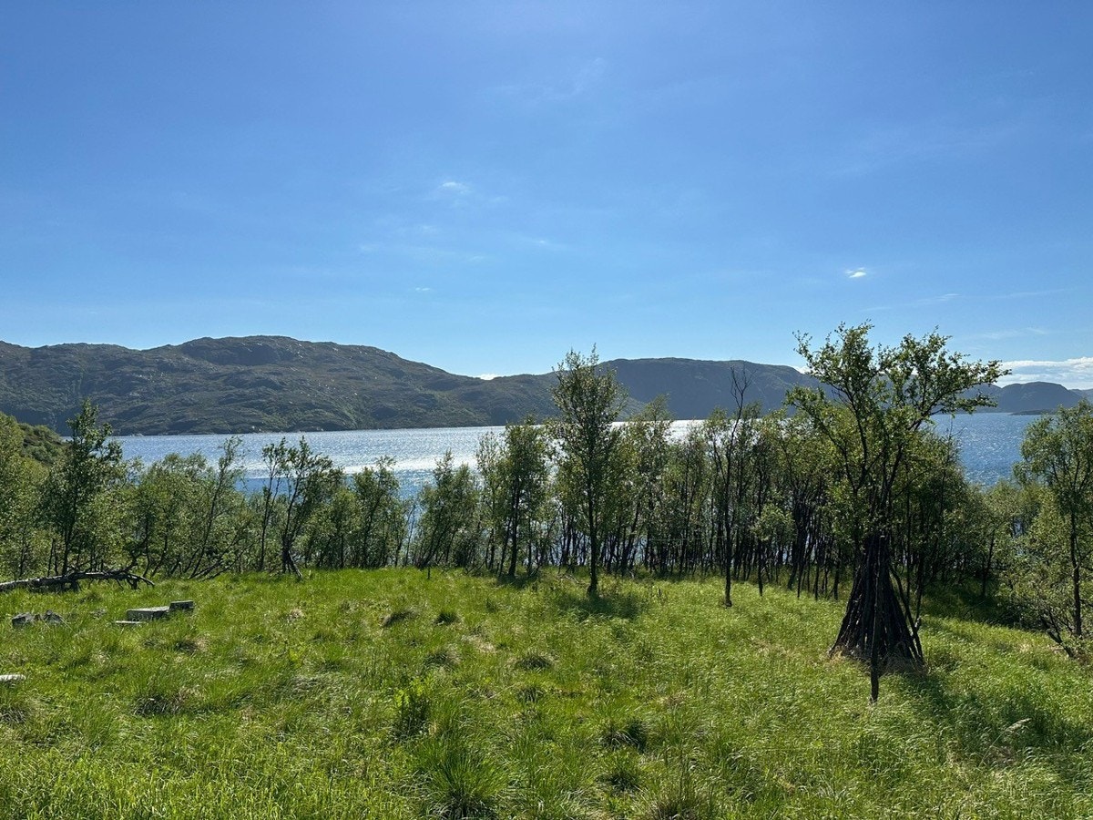 Velkommen til visning - husk å melde deg på! Galleribilde