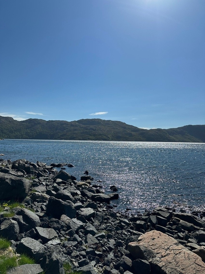 Det er godt fiske i fjorden Galleribilde