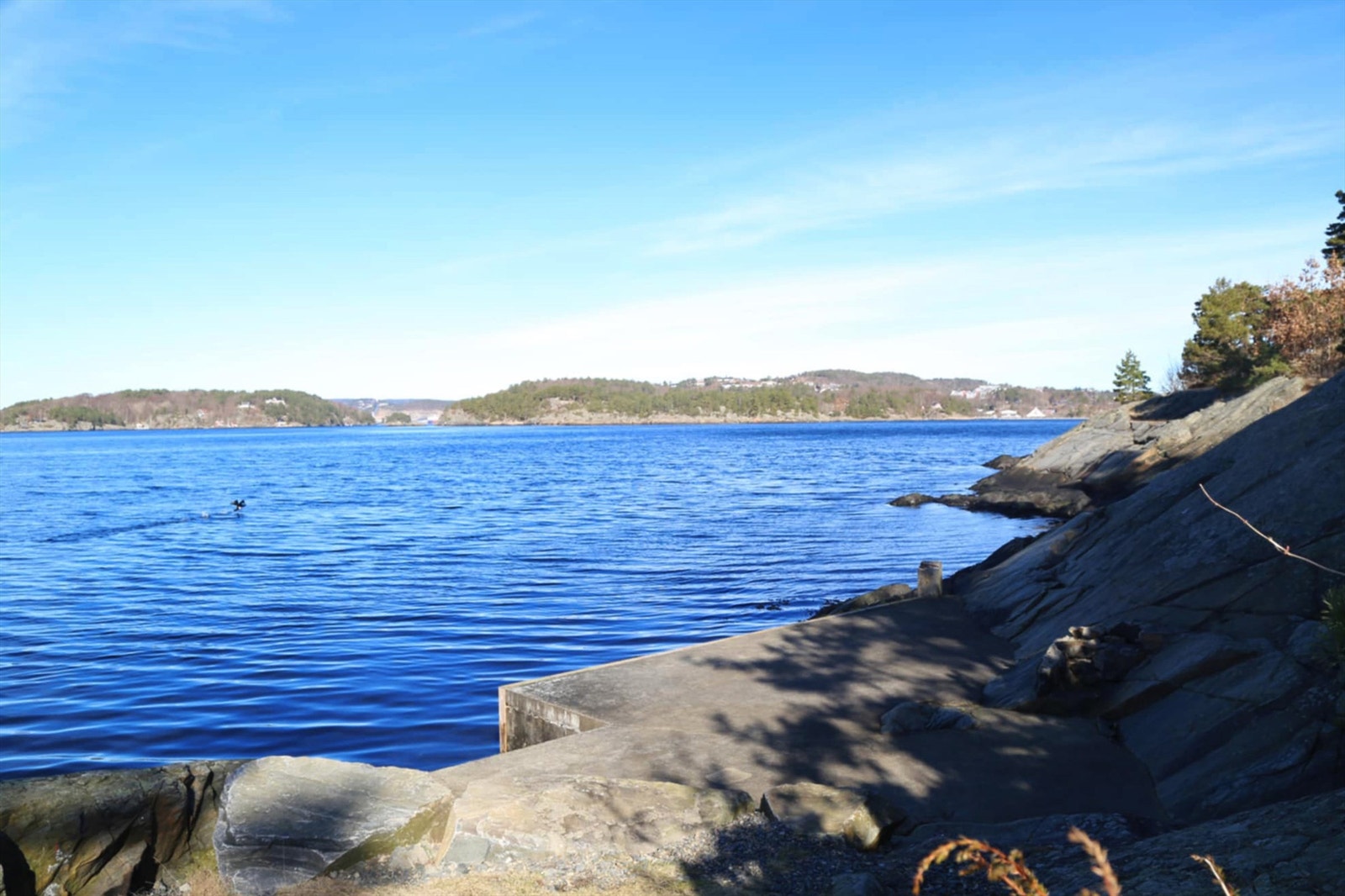 Nærområdet. Bilde tatt av selger. Galleribilde