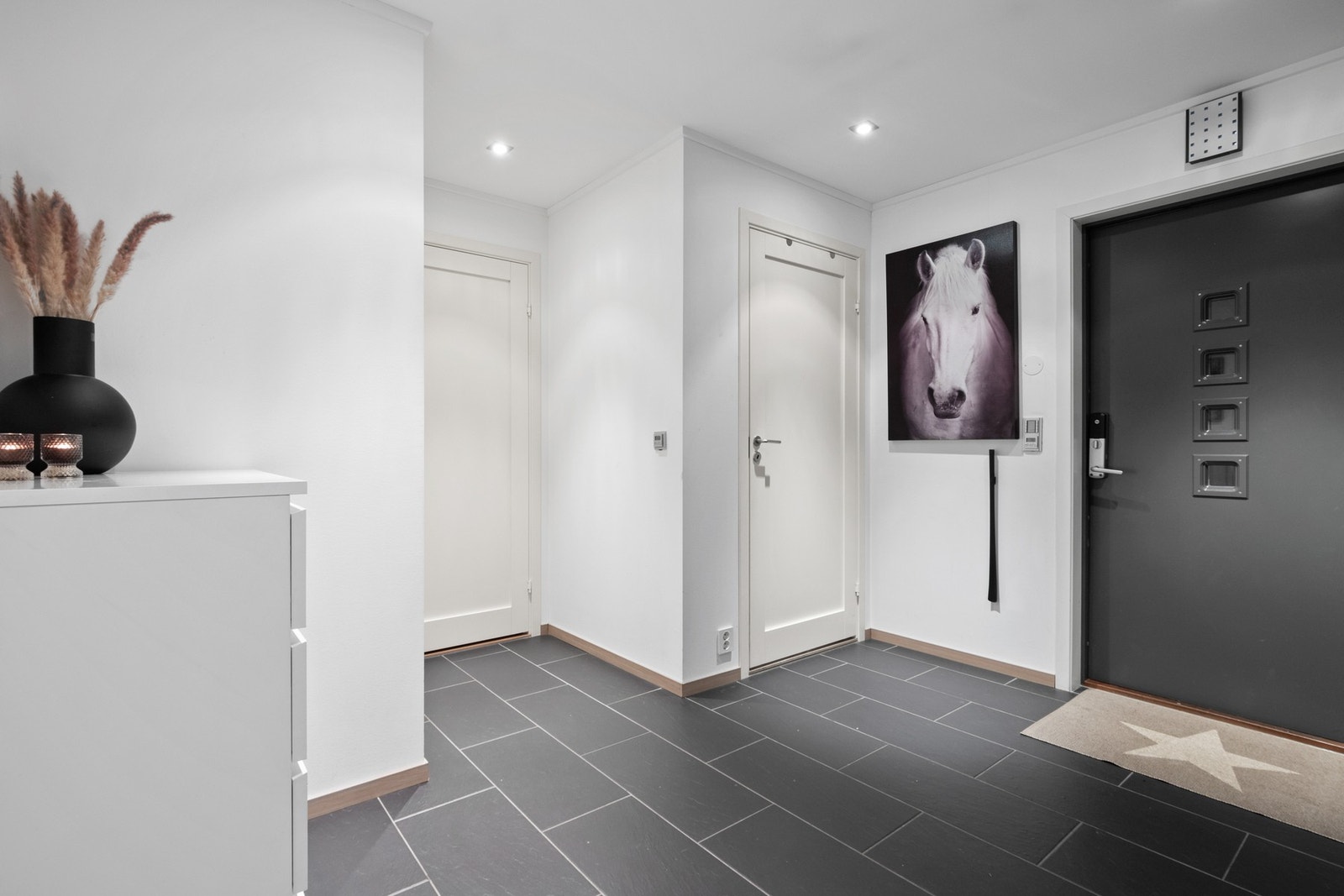 Stilfull entré som gir et utmerket førsteinntrykk. Her er det hvitmalte vegger, downlights i himlingen og grå fliser på gulv med gulvvarme. Galleribilde