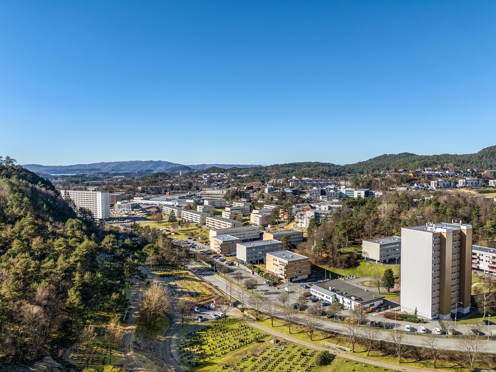 Nærområde Galleribilde