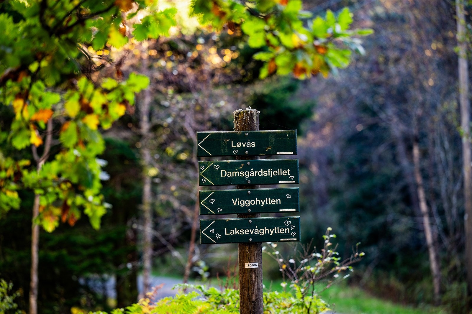 Fra boligen er det kort vei til Kanadaskogen. Galleribilde