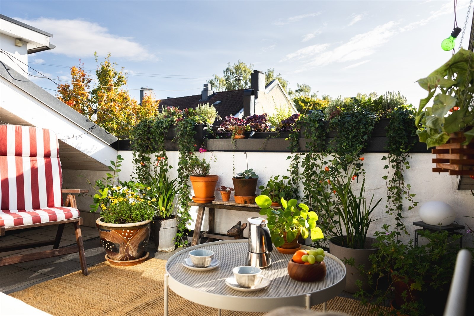 Takterrassen på sommerstid Galleribilde