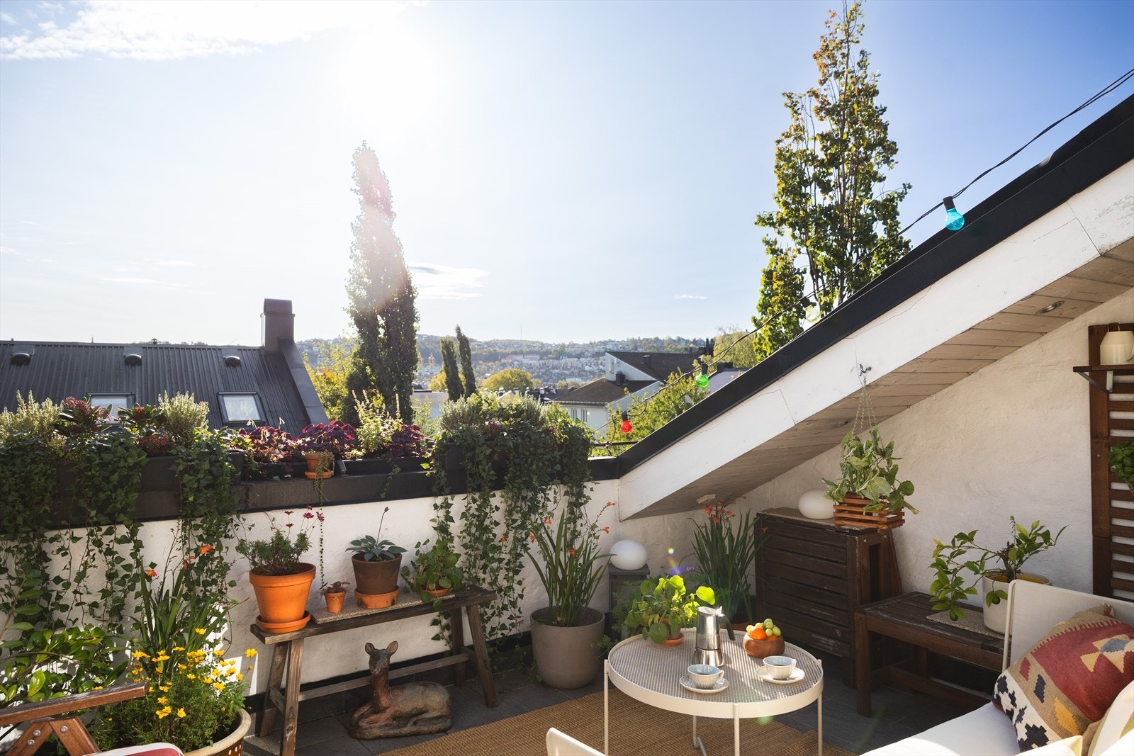 Takterrassen på sommerstid Galleribilde