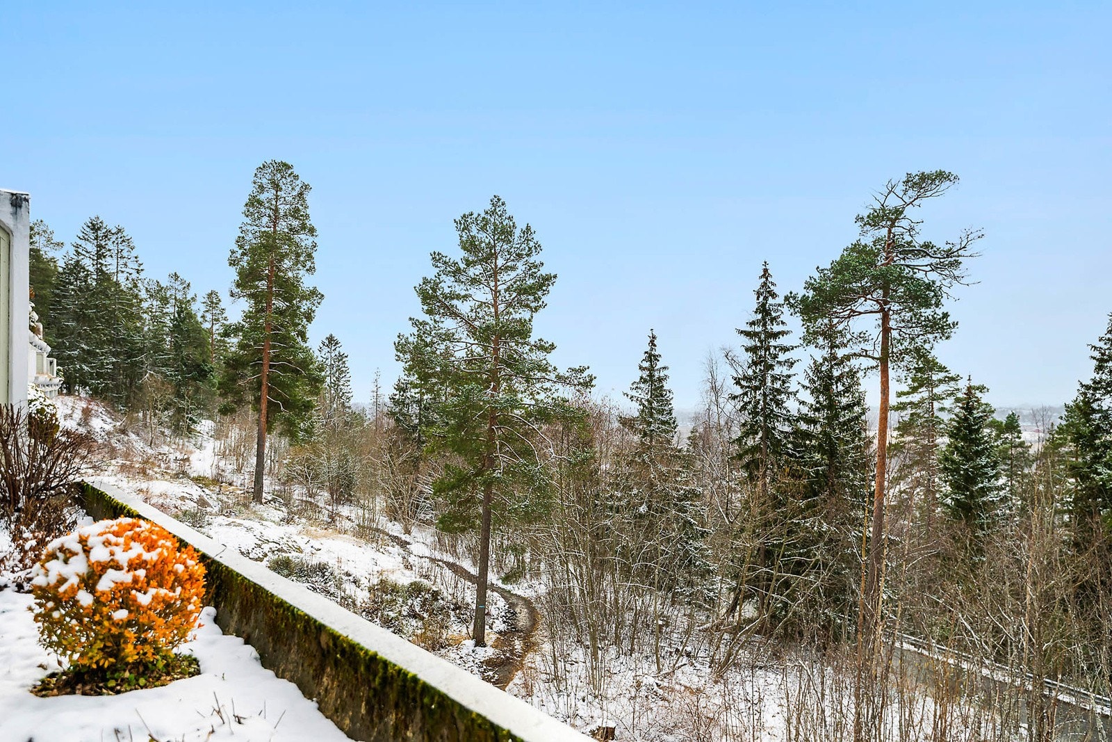 En frodig åsside like utenfor Galleribilde