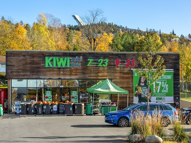 Kiwi kun et par golfslag nedenfor Galleribilde