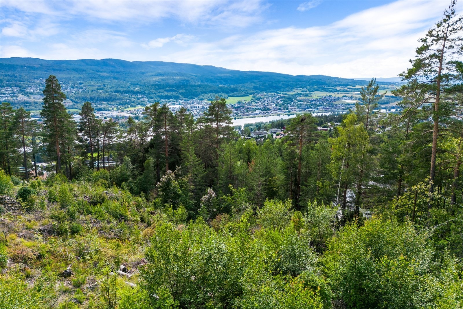 Potensielt utsiktsbilde fra fremtidig bebyggelse Galleribilde