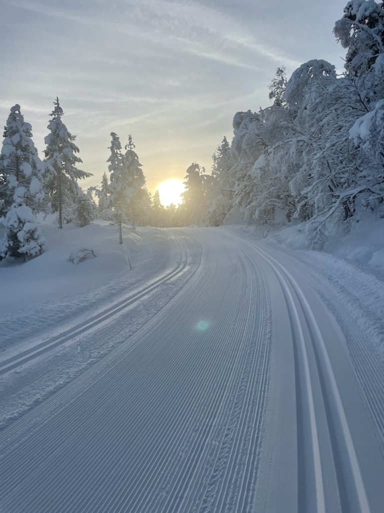 Stemningsbilder fra selger Galleribilde
