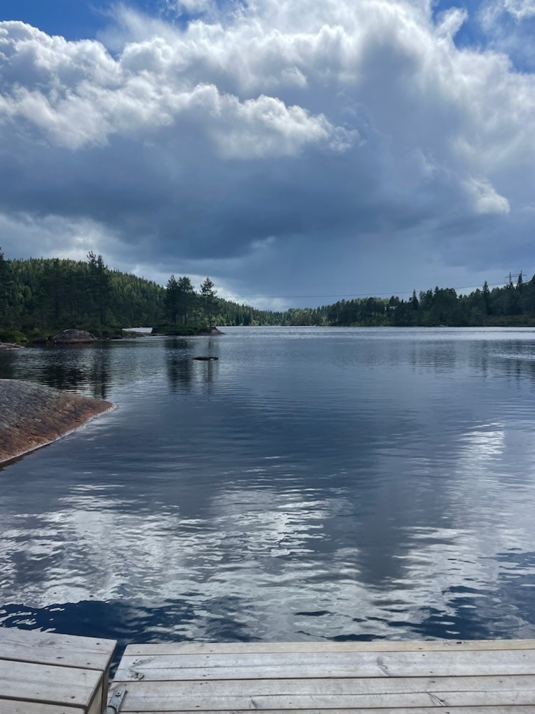 Stemningsbilder fra selger Galleribilde