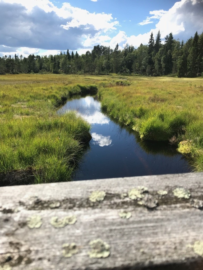 Stemningsbilder fra selger Galleribilde