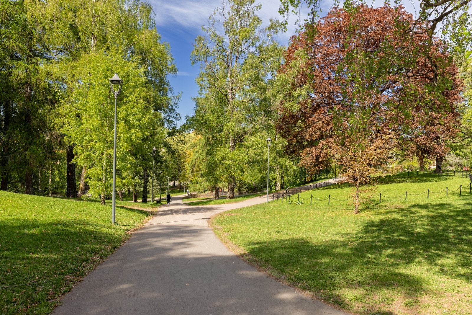 St. Hanshaugen byr på nydelig turstier i frodige omgivelser i hjertet av byen. Galleribilde