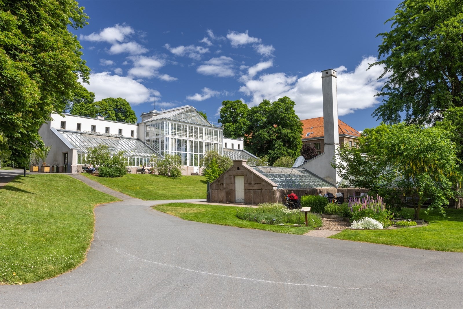 Boligen har gangavstand til vakre Botanisk hage, en grønn oase midt i byen med enestående planteopplevelser året rundt Galleribilde