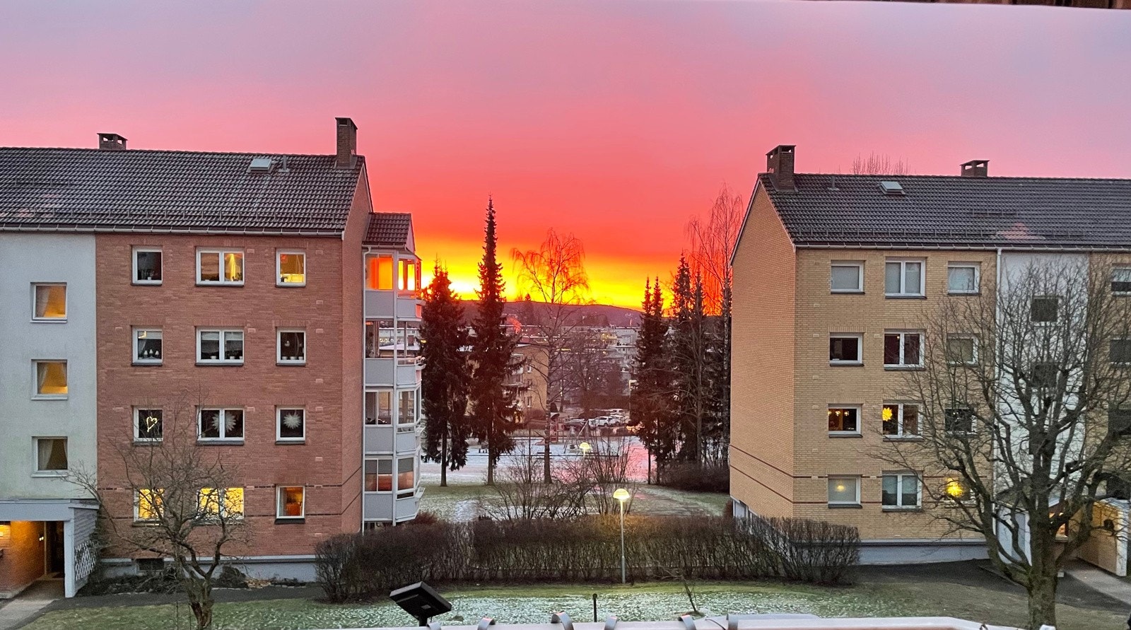 Privat foto. Galleribilde