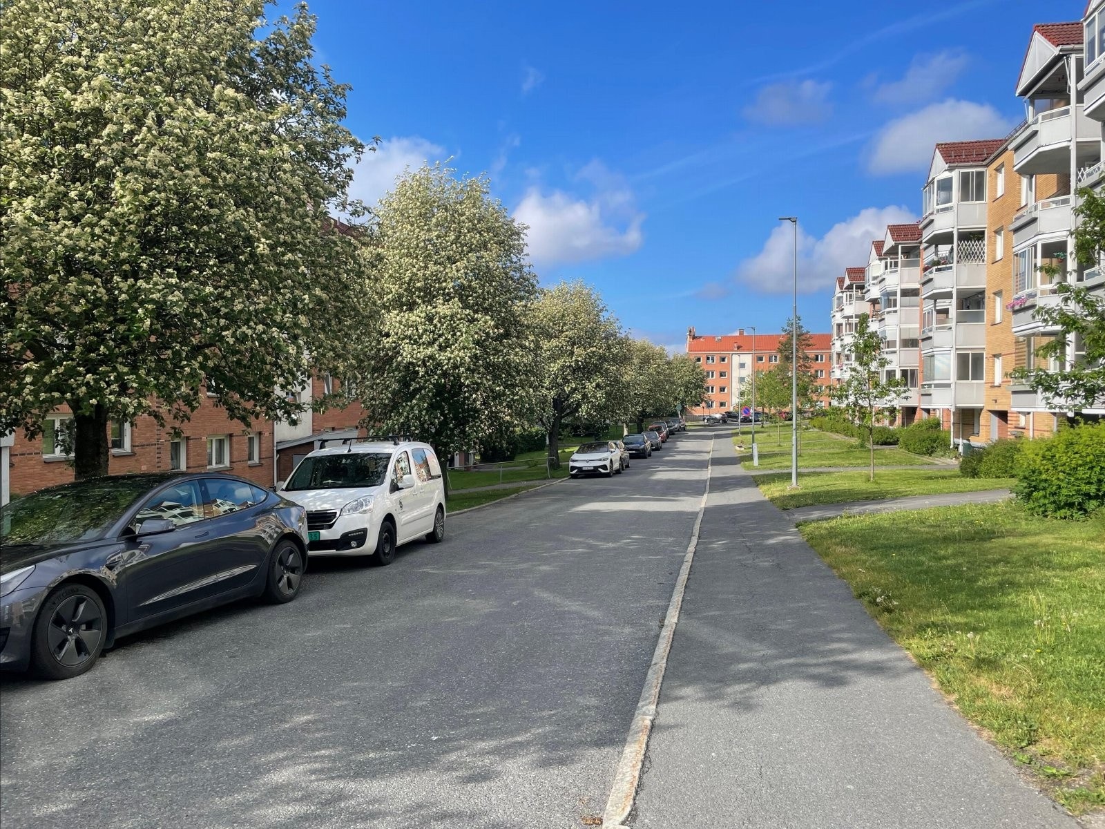 Privat foto. Galleribilde