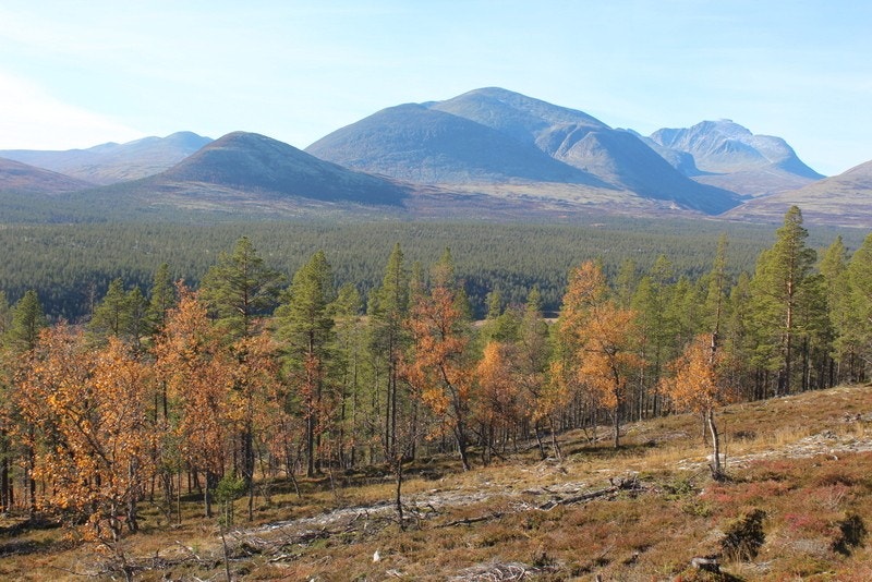 Denne utsikten kan bli din! Galleribilde