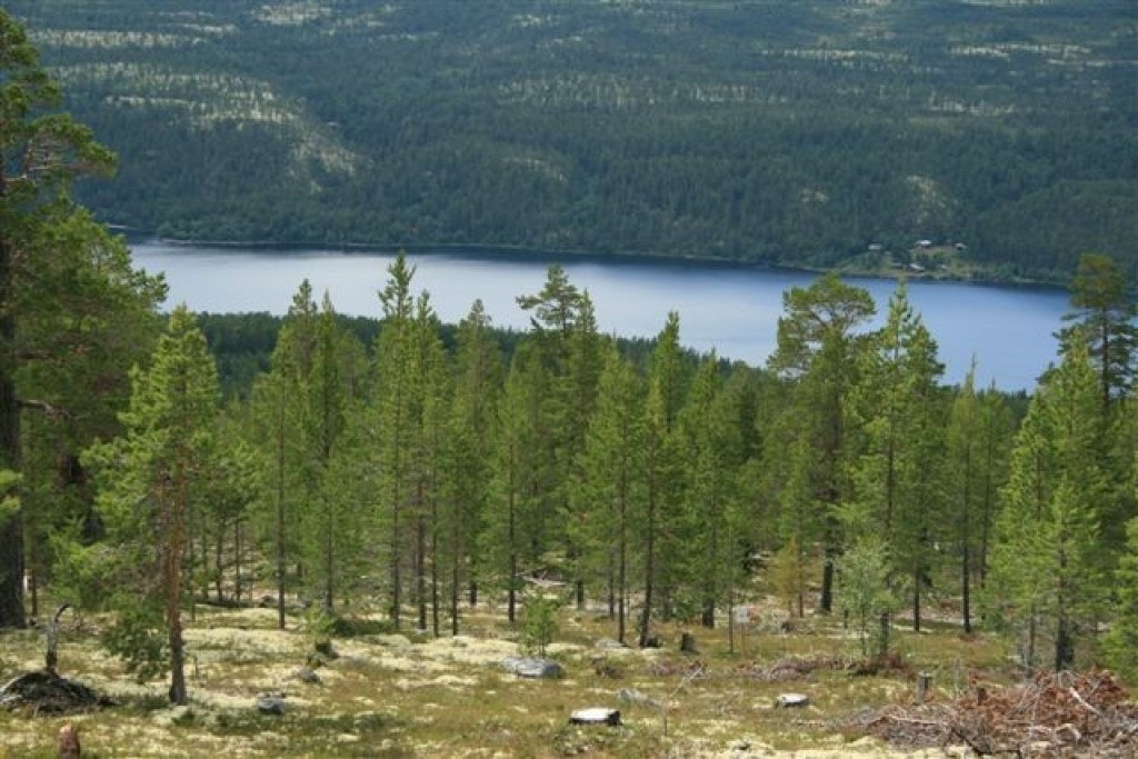 I dalbunnen ligger Atnasjø med fiskemuligheter sommer som vinter Galleribilde
