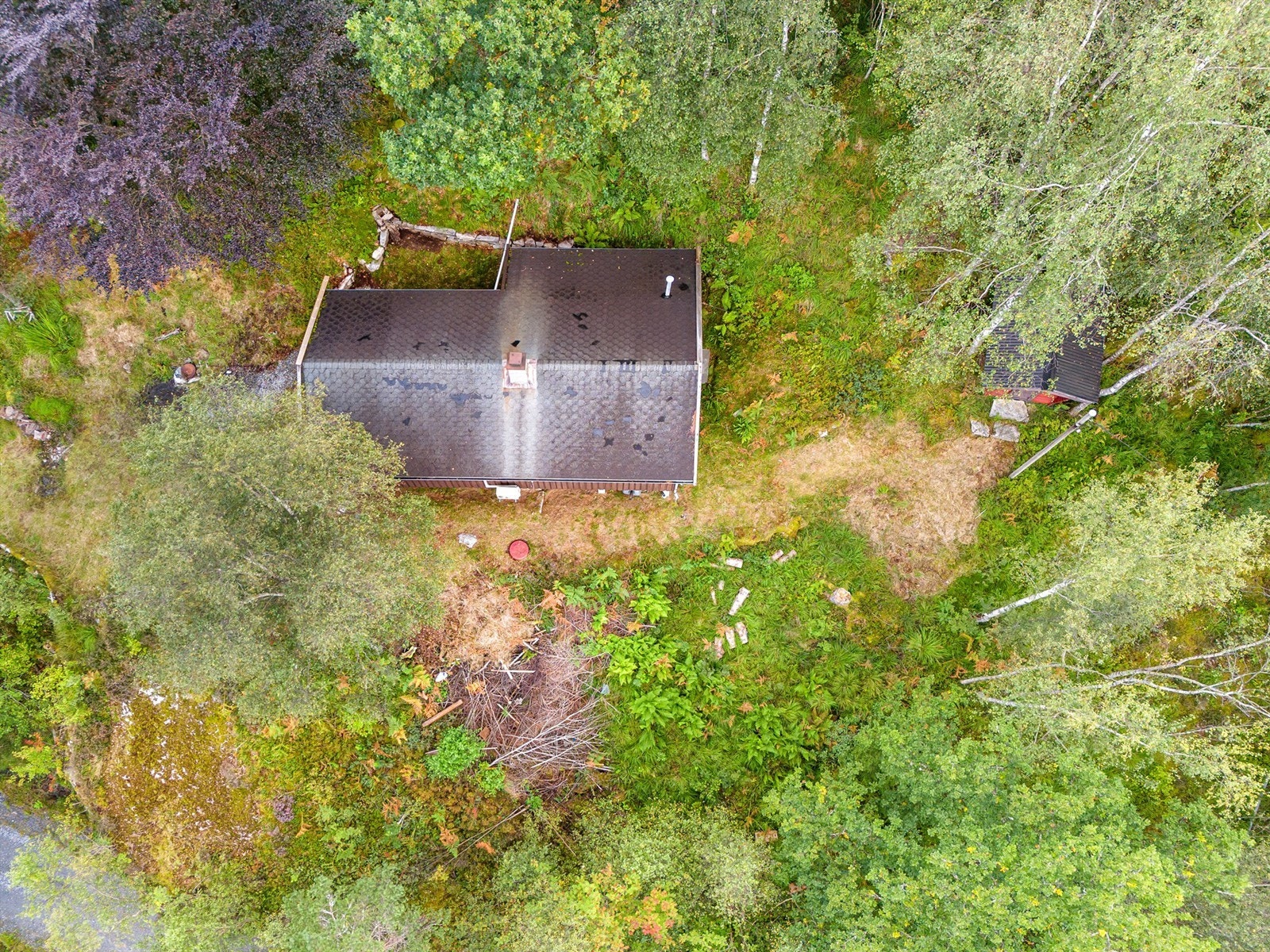 Eldre tak må byttes Galleribilde