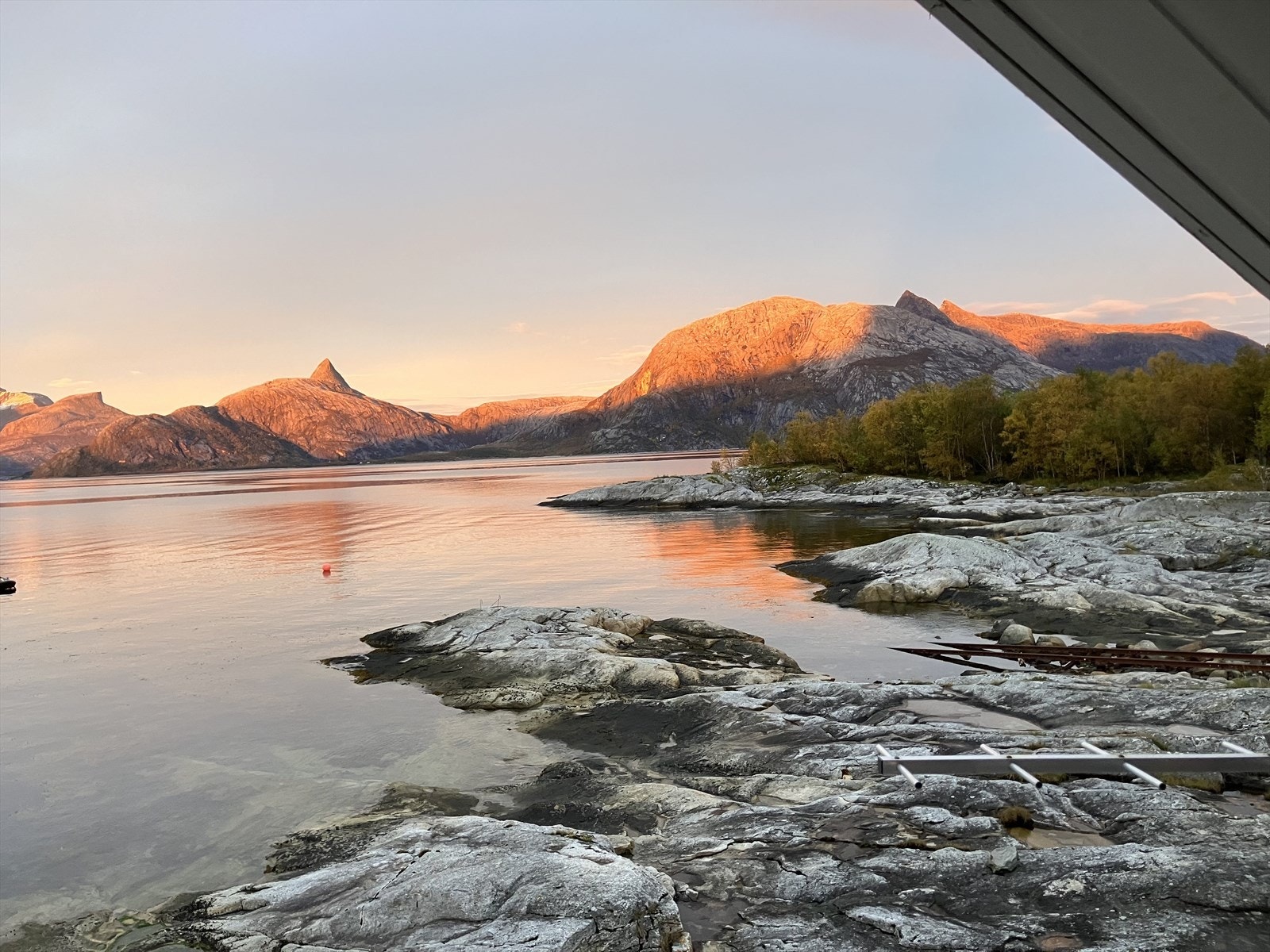 Selgers eget foto. Galleribilde