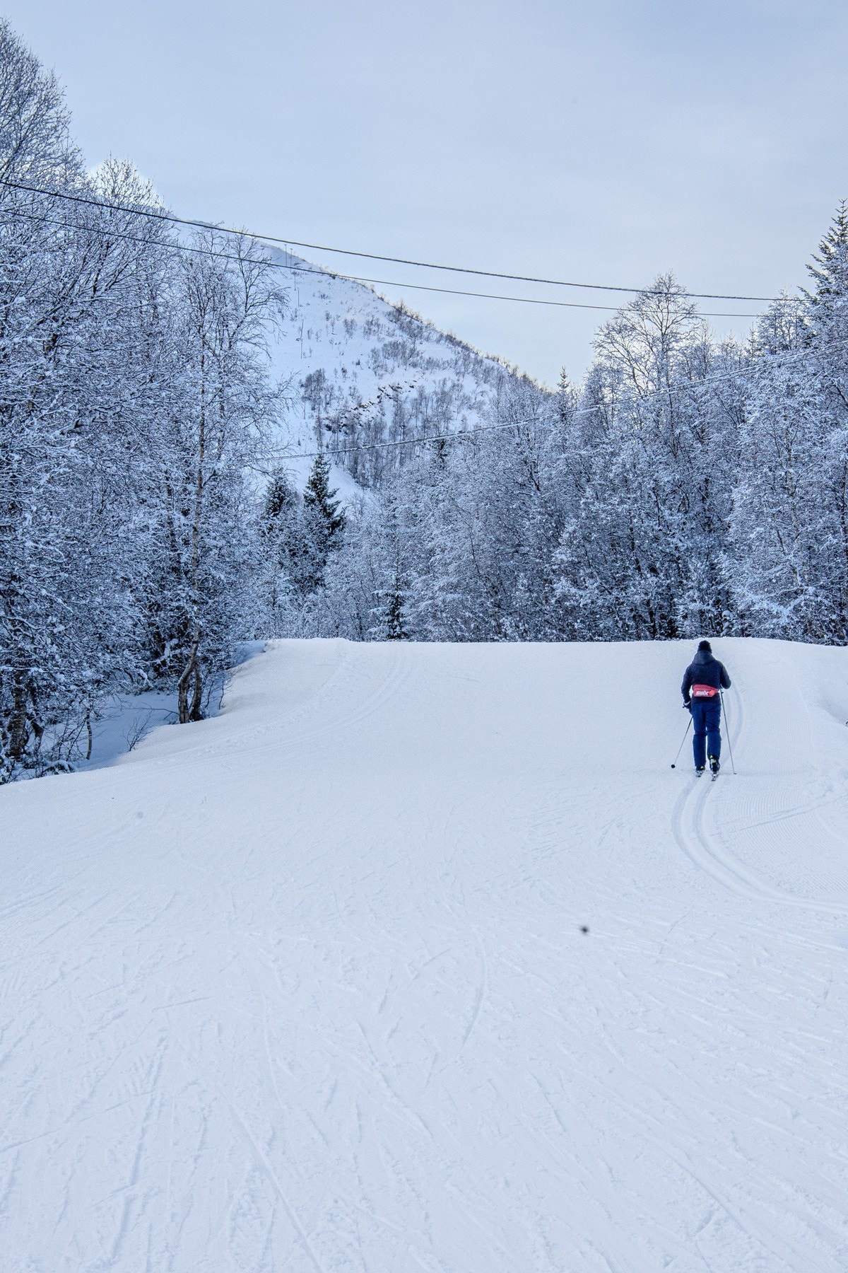 Fra hyttefeltet er det ski inn/ut til langrennsløypene. Galleribilde